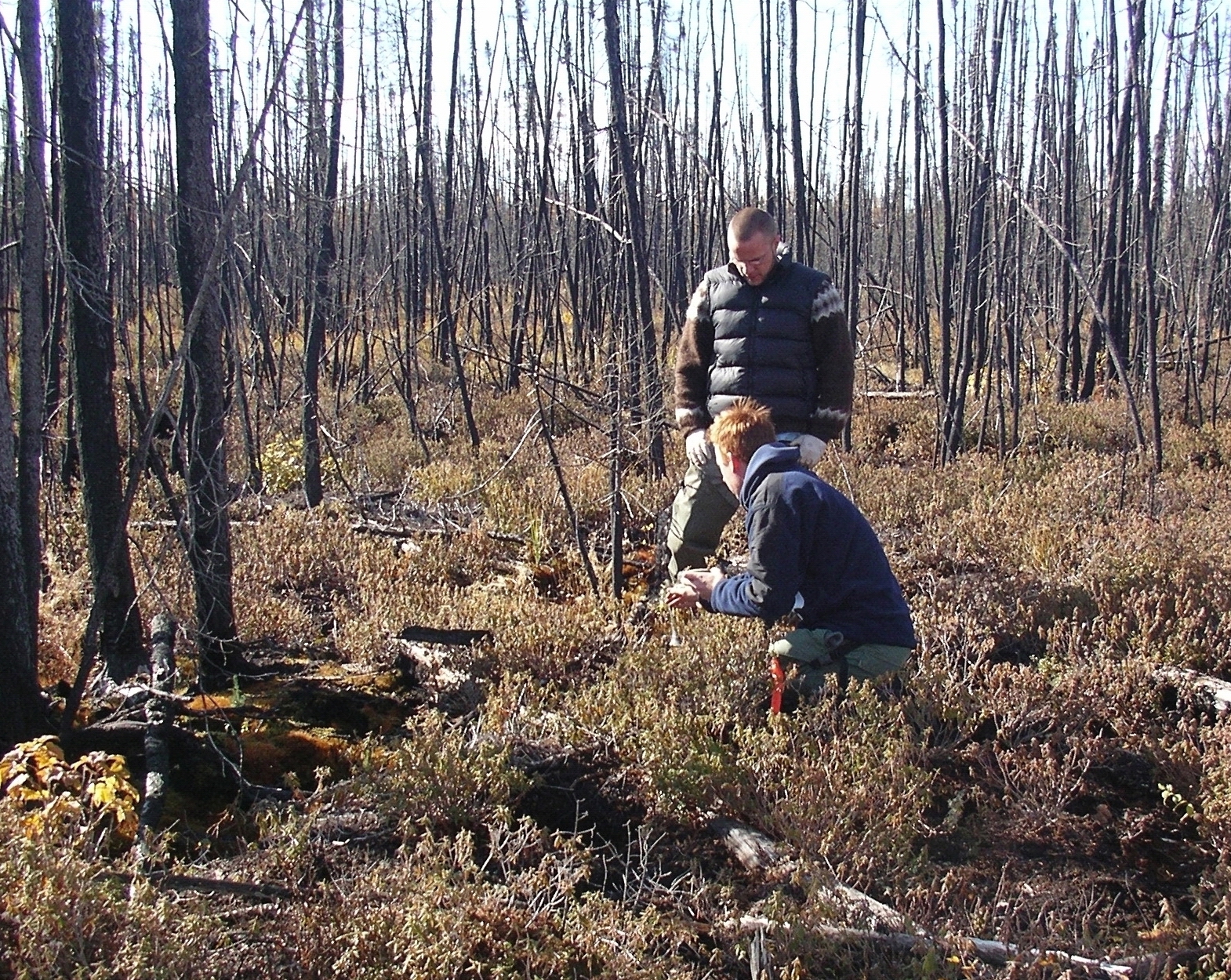The hibernation site for toad MEA had a temperature data logger installed